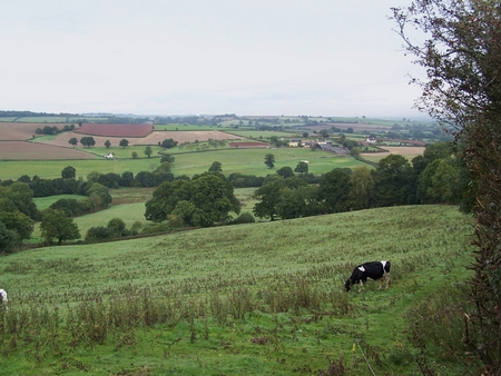 Cullompton, Somerset g.JPG